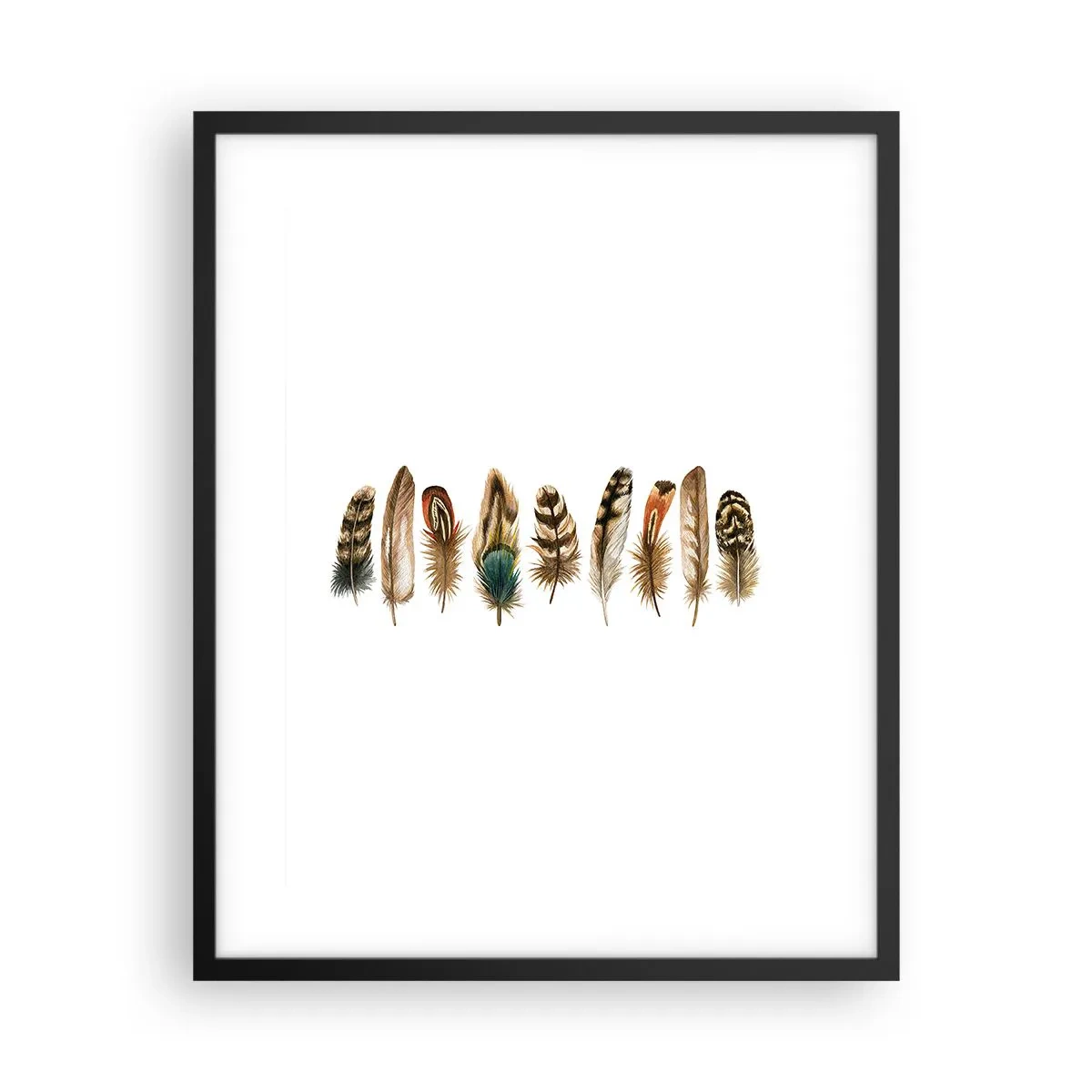 Affiche dans un cadre noir - Poster - Variation à plumes - 40x50 cm