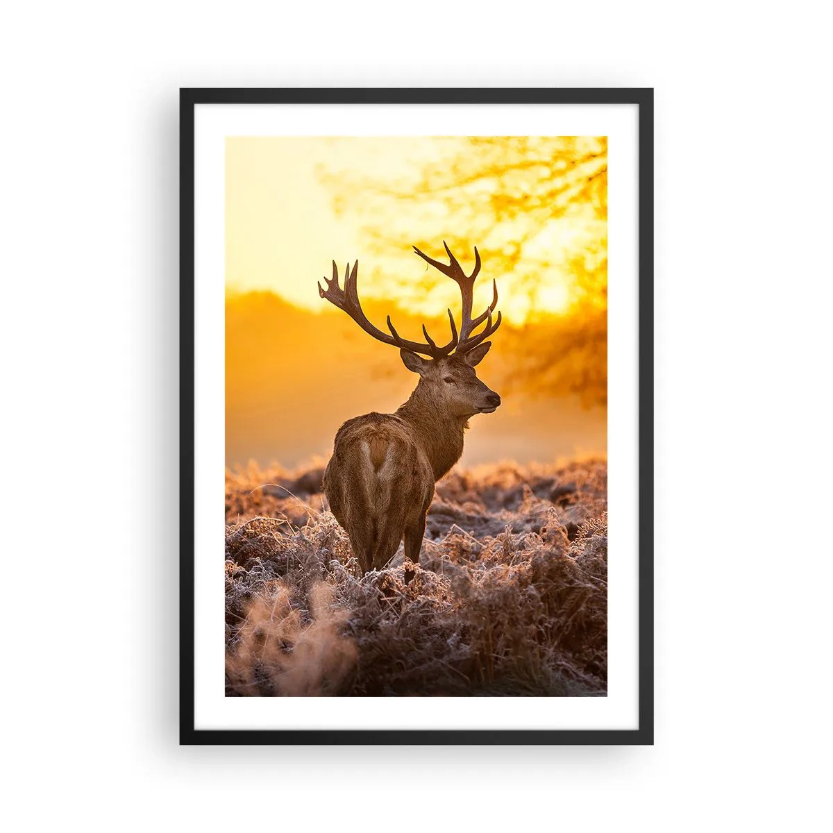 Affiche dans un cadre noir - Poster - Un cerf sur fond de lever de soleil doré - 50x70cm - Roi de la forêt automnal - Décoration murale moderne pour le salon et la chambre ARTTOR