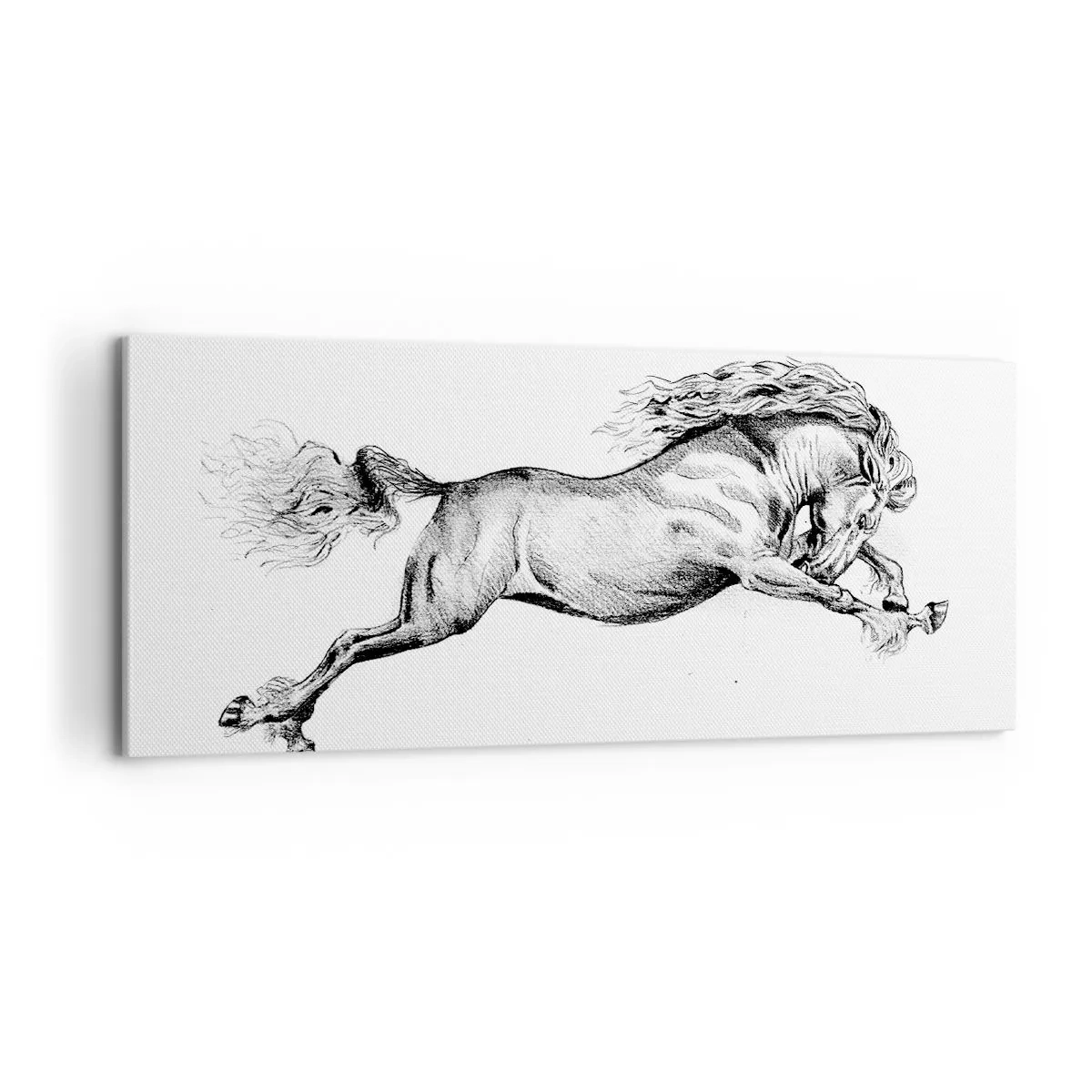 Impression sur toile - Image sur toile - Immortalisé au galop - 100x40 cm