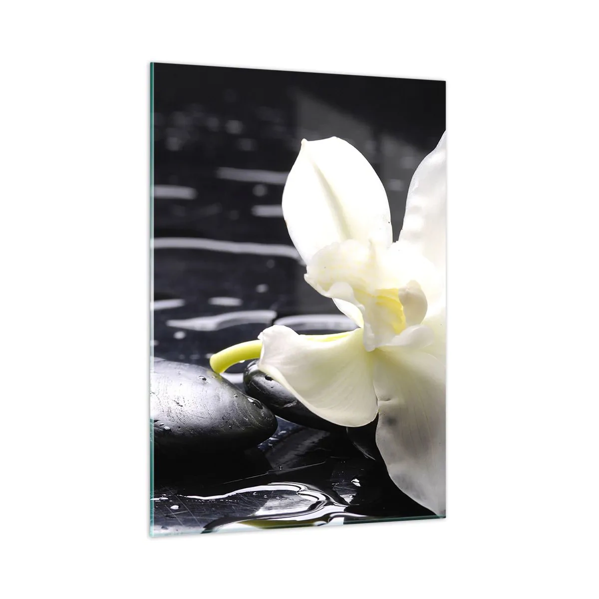 Impression sur verre - Image sur verre - Orchidée blanche sur pierres noires humides - 50x70cm - Étude en noir et blanc - Décoration murale moderne pour le salon et la chambre ARTTOR