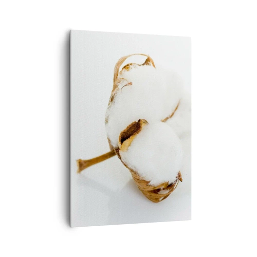 Impression sur toile - Image sur toile - Une branche de coton sur un fond clair dans une approche minimaliste - 70x100cm - Doux par nature - Décoration murale moderne pour le salon et la chambre ARTTOR