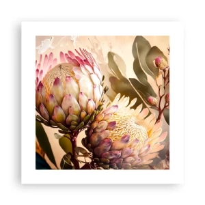 Affiche - Poster - Tendrement embrassé - 40x40 cm