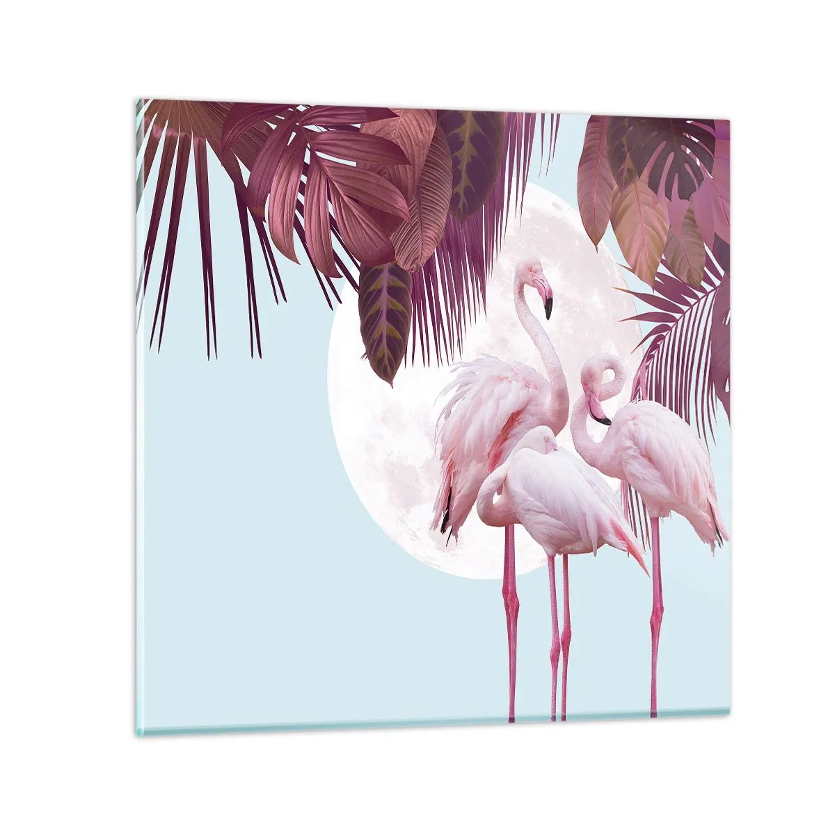 Impression sur verre - Image sur verre - Trois oiseaux gracieux - 60x60 cm