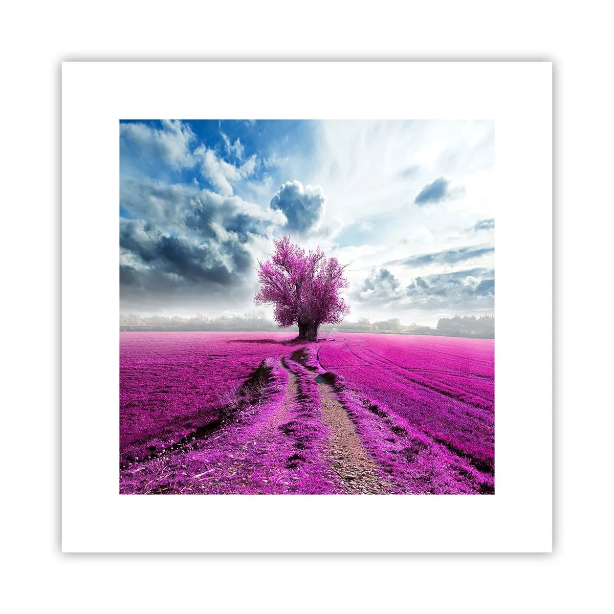 Affiche - Poster - Lande - nature sauvage - 30x30 cm