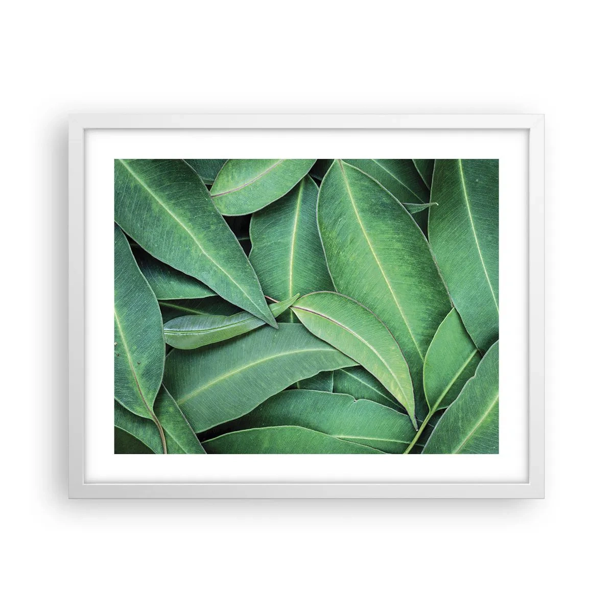 Affiche dans un cadre blanc - Poster - Juteux et frais - 50x40 cm