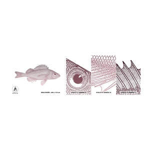 Échantillon de Papier Peint Autocollant Deluxe Sticker - Poisson aux grands yeux - Poisson, Sous-marin, Minimaliste - 100x30 cm