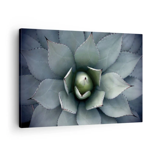 Impression sur toile - Image sur toile - Gros plan d'une rosette d'agave aux délicates nuances de vert - 70x50cm - Wabi et observe - Décoration murale moderne pour le salon et la chambre ARTTOR