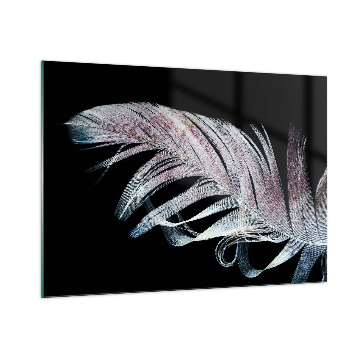 Impression sur verre - Image sur verre - Une plume délicate sur fond noir dans une démarche artistique - 100x70cm - Pensez au toucher - Décoration murale moderne pour le salon et la chambre ARTTOR