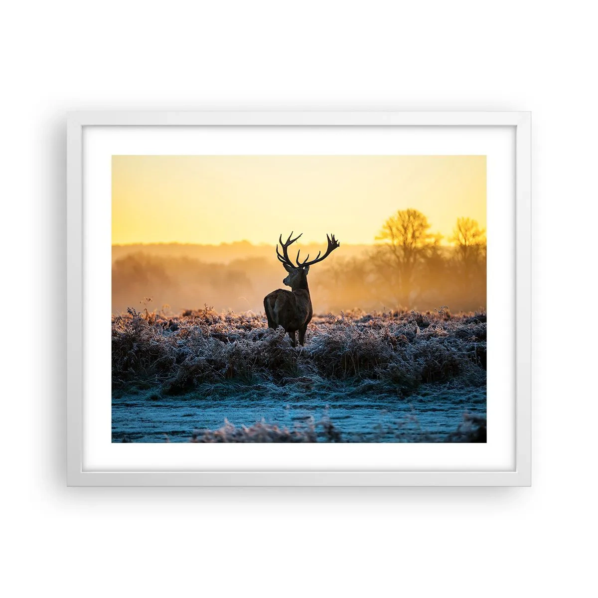 Affiche dans un cadre blanc - Poster - Couronné pour sa succession - 50x40 cm