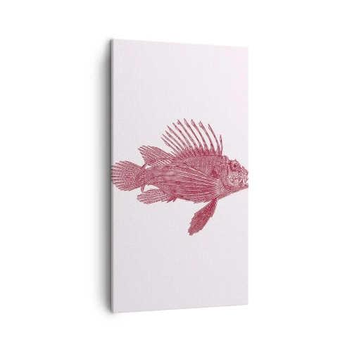 Impression sur toile - Image sur toile - Un habitant des eaux exotiques - 45x80 cm