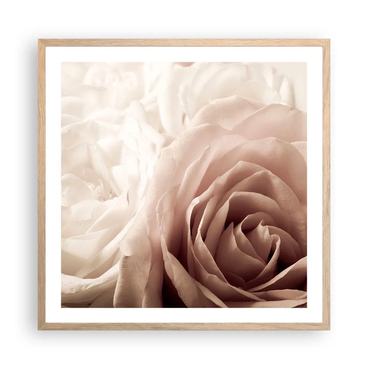 Affiche dans un chêne clair - Poster - Au coeur d'ue la rose - 60x60 cm
