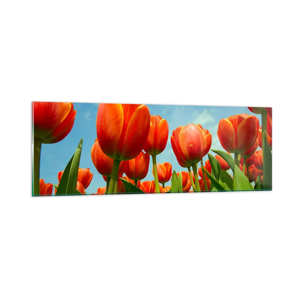 Impression sur verre - Image sur verre - A part le ciel bleu, ils n'ont besoin de rien dans leur vie - 90x30 cm