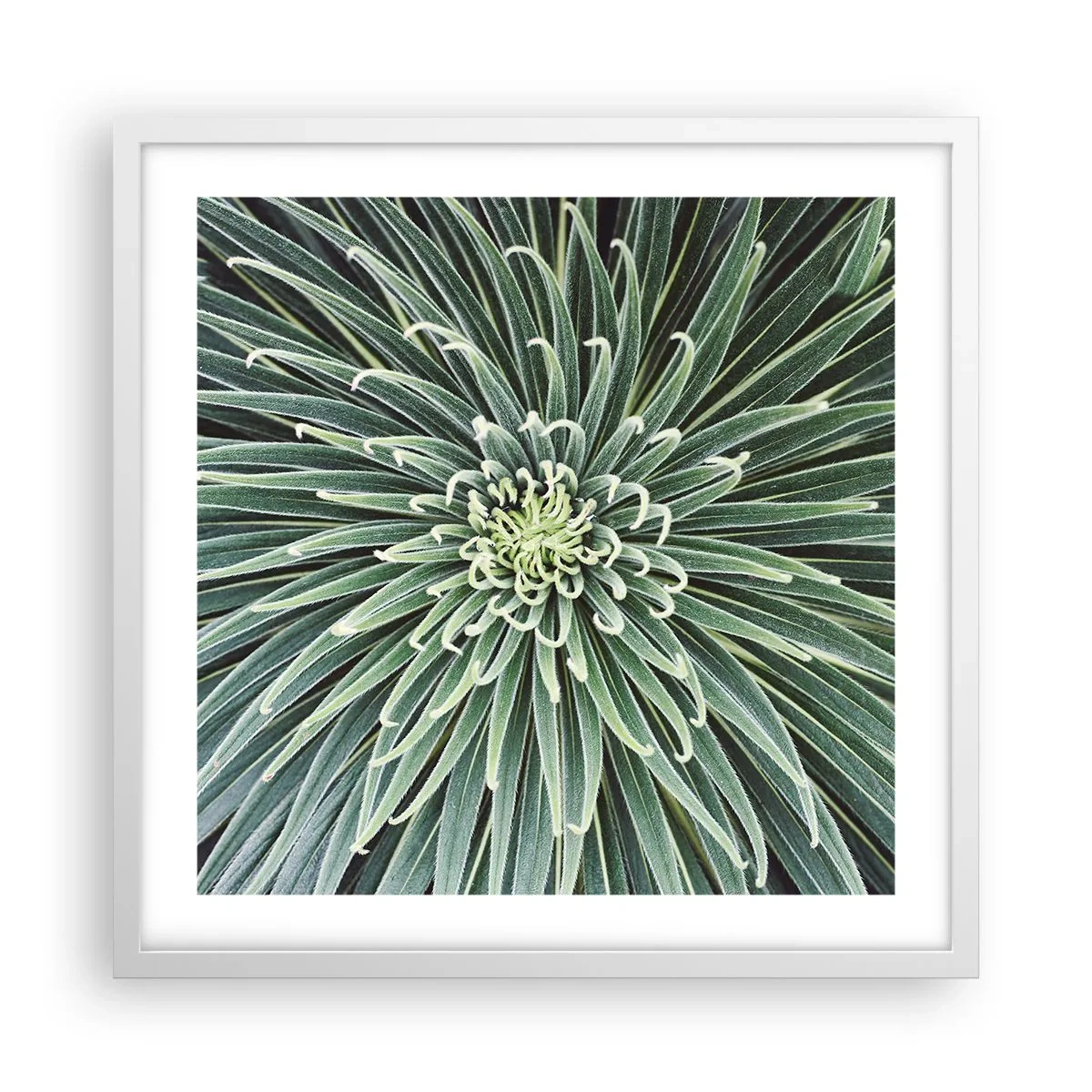 Affiche dans un cadre blanc - Poster - Naissance d'une étoile - 50x50 cm