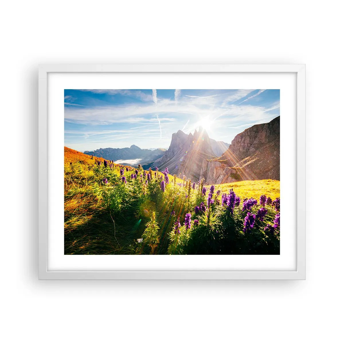 Affiche dans un cadre blanc - Poster - La vie secrète des herbes - 50x40 cm