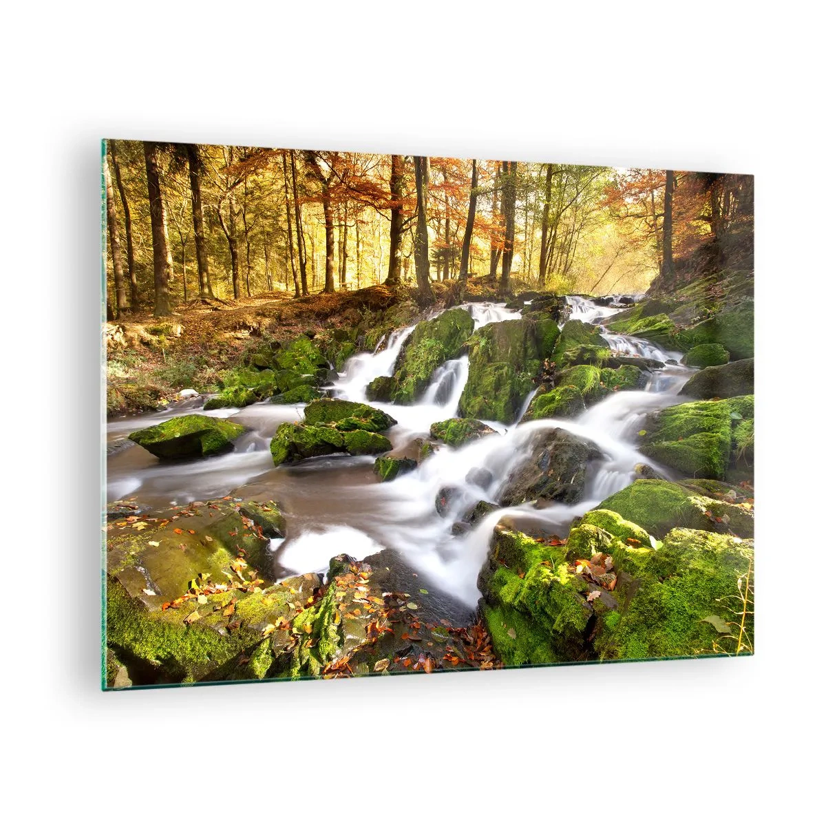 Impression sur verre - Image sur verre - Un ruisseau forestier avec des cascades dans un paysage d'automne - 70x50cm - Rapidement à travers la forêt d'automne - Décoration murale moderne pour le salon et la chambre ARTTOR