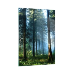 Impression sur verre - Image sur verre - Un chemin forestier dans la brume matinale parmi de grands arbres - 50x70cm - Rayonnant le matin - Décoration murale moderne pour le salon et la chambre ARTTOR
