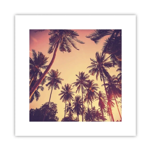 Affiche - Poster - Variation tropicale - 30x30 cm
