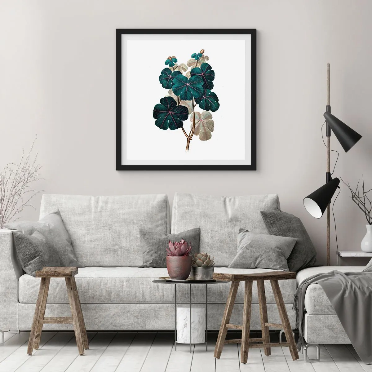 Affiche dans un cadre noir - Poster - De l'ancien herbier - 30x30 cm