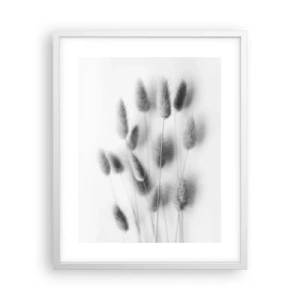 Affiche dans un cadre blanc - Poster - Son herbe duveteuse - 40x50 cm