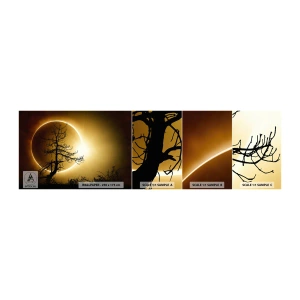 Échantillon de Papier Peint Autocollant Deluxe Sticker - Éclipse totale - Éclipse, Arbre, Paysage - 100x30 cm