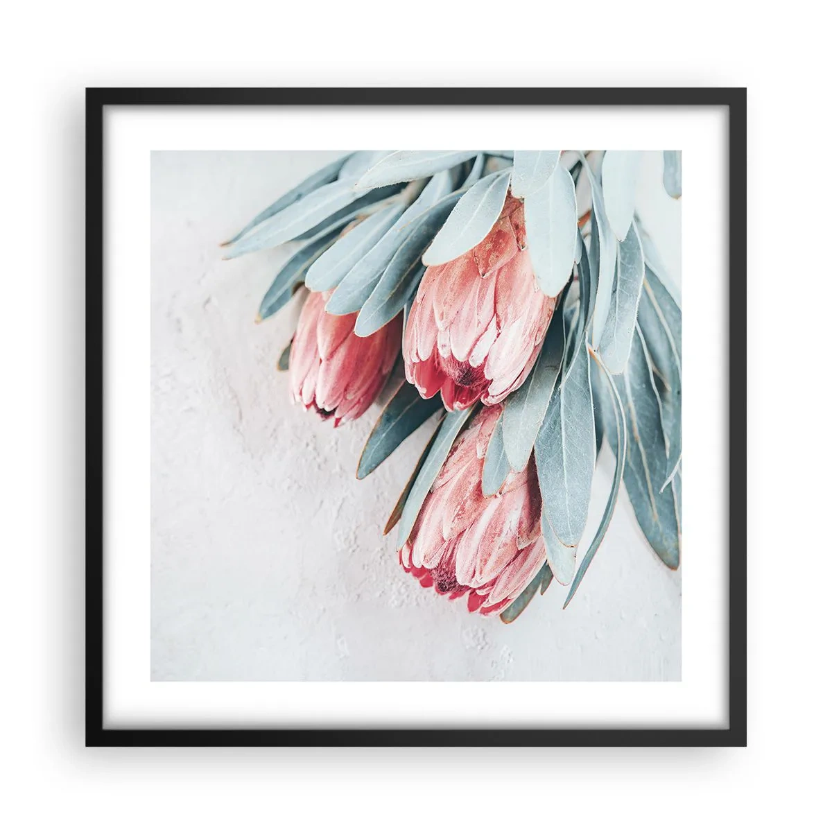 Affiche dans un cadre noir - Poster - Honte de leur propre beauté - 50x50 cm