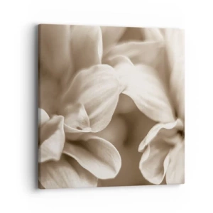 Impression sur toile - Image sur toile - Doux comme un sourire - 40x40 cm