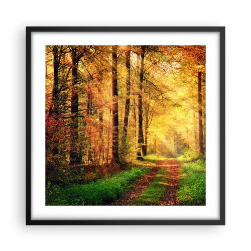 Affiche dans un cadre noir - Poster - Silence d'or en forêt - 50x50 cm