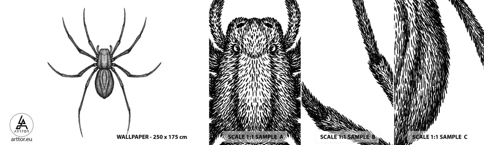 Échantillon De Papier Peint Standard Eco - Une précision troublante - Araignée, Insecte, Minimaliste - 100x30 cm