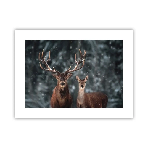 Affiche - Poster - Le roi de la forêt avec sa femme - 40x30 cm