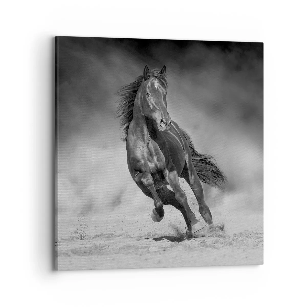 Impression sur toile - Image sur toile - Digne de l'émir lui-même - 70x70 cm