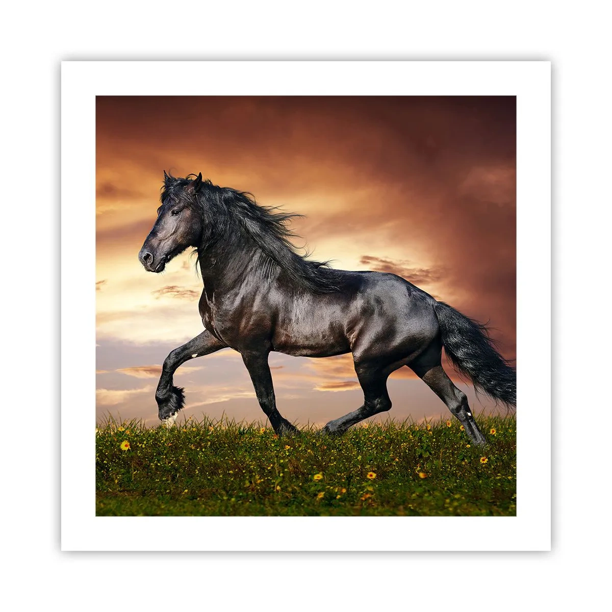 Affiche - Poster - Livres noirs - 50x50 cm