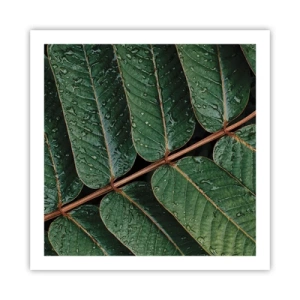 Affiche - Poster - Au rythme de la verdure - 60x60 cm