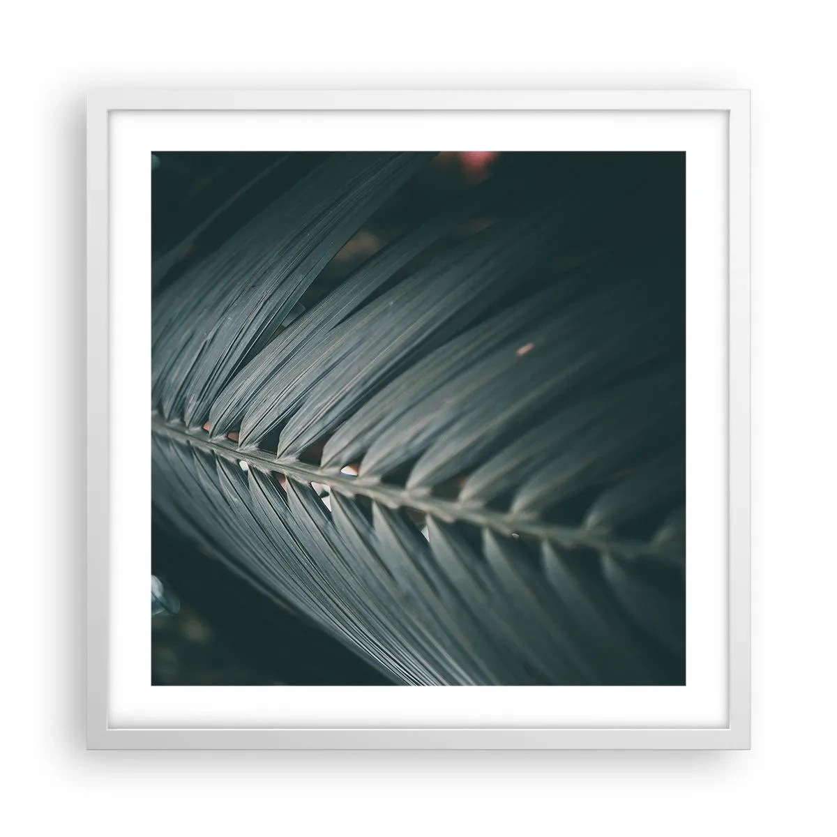 Affiche dans un cadre blanc - Poster - Précision de la nature - 50x50 cm