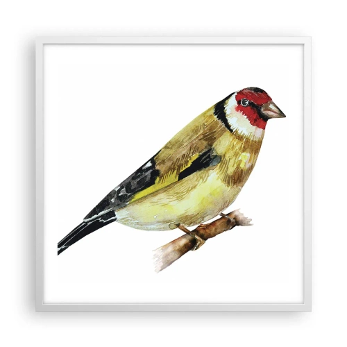Affiche dans un cadre blanc - Poster - Portrait d'oiseau - 60x60 cm