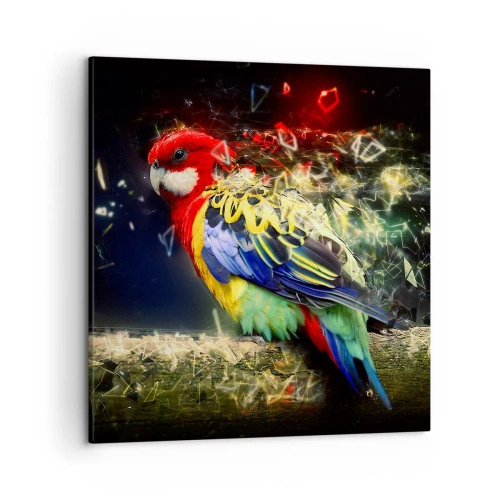 Impression sur toile - Image sur toile - Messager d'éclat - 50x50 cm