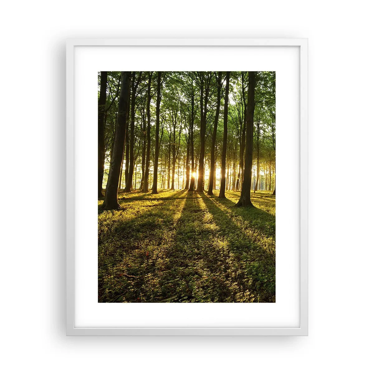 Affiche dans un cadre blanc - Poster - Toutes les photographies de printemps - 40x50 cm