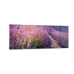 Impression sur verre - Image sur verre - Champ de lavande au coucher du soleil - 140x50cm - Tige parfumée - Décoration murale moderne pour le salon et la chambre ARTTOR