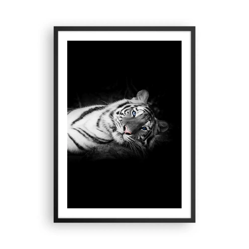 Affiche dans un cadre noir - Poster - Un tigre blanc dans une prise de vue contrastée sur un fond noir - 50x70cm - Sauvagerie et paix - Décoration murale moderne pour le salon et la chambre ARTTOR