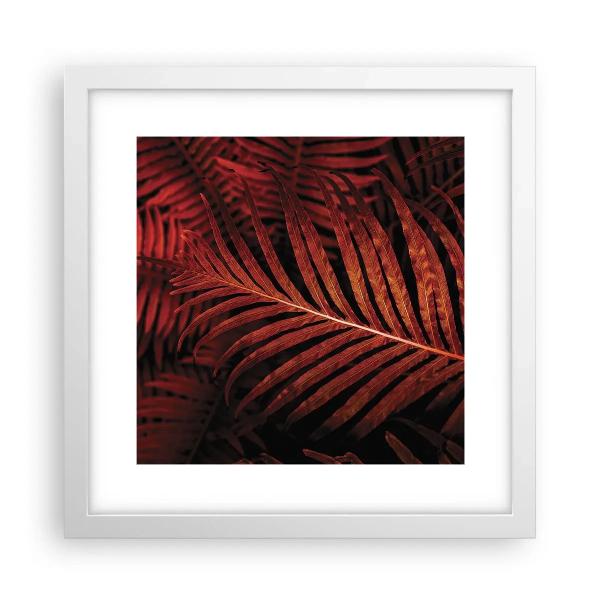 Affiche dans un cadre blanc - Poster - Chaleur de la vie - 30x30 cm