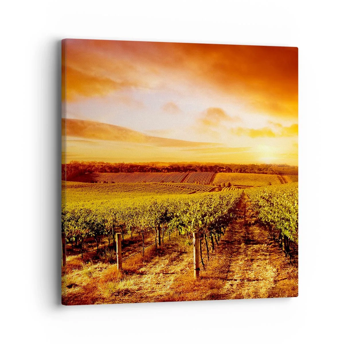 Impression sur toile - Image sur toile - Légèrement fruité avec une pointe de soleil - 40x40 cm