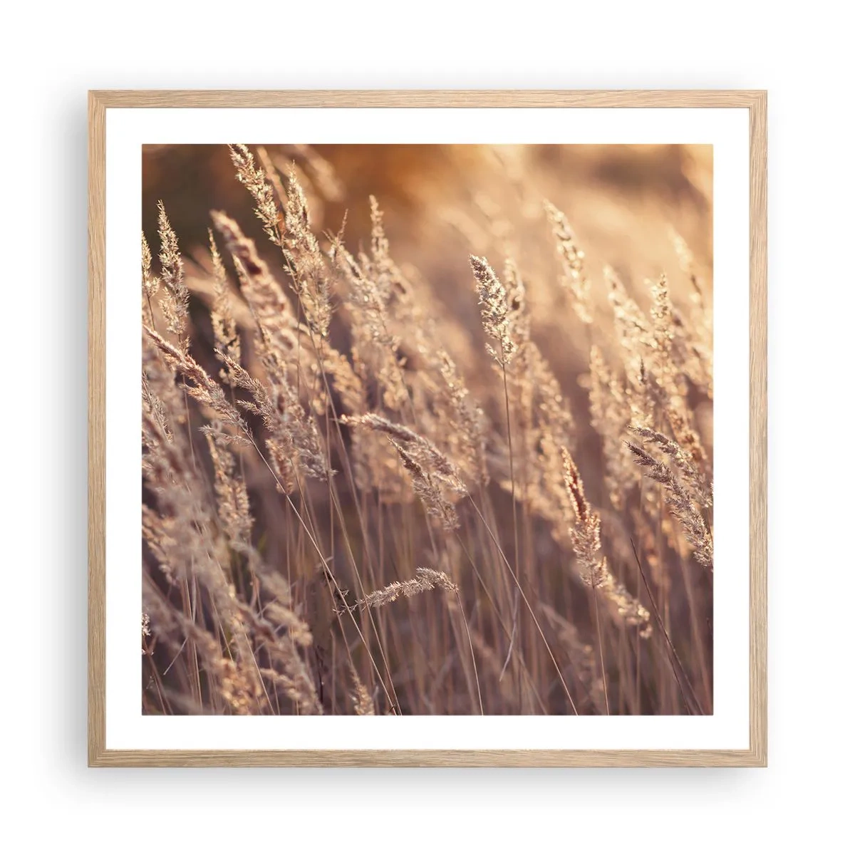 Affiche dans un chêne clair - Poster - Prêt à accueillir l'automne - 60x60 cm