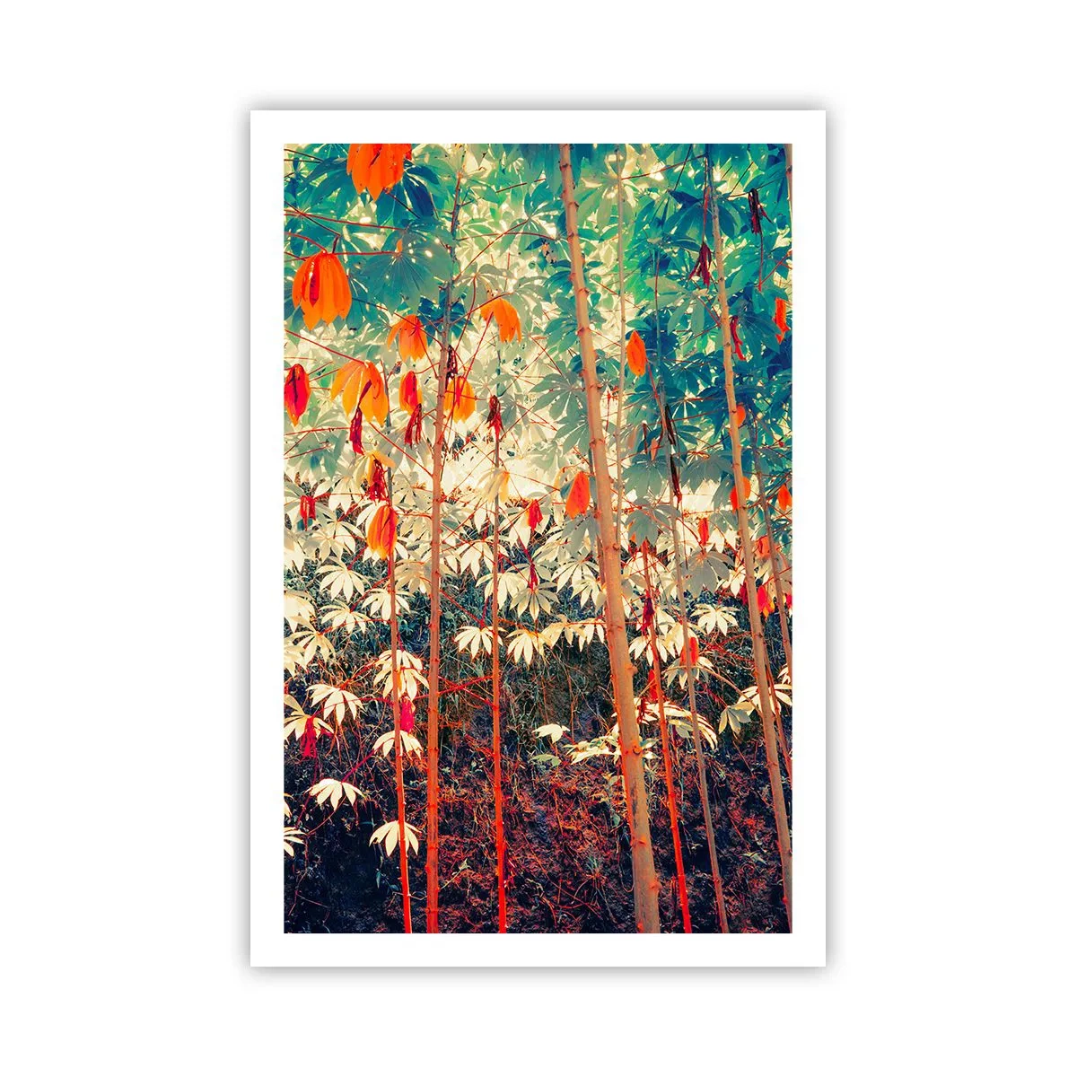 Affiche - Poster - La vie secrète des feuilles - 61x91 cm