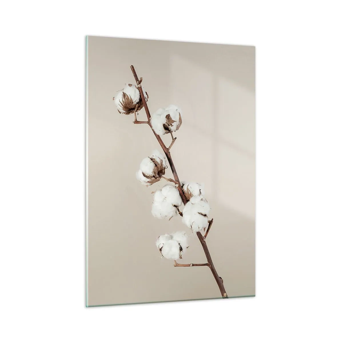Impression sur verre - Image sur verre - Un brin de coton sur un fond clair et minimaliste - 50x70cm - A la source de la douceur - Décoration murale moderne pour le salon et la chambre ARTTOR