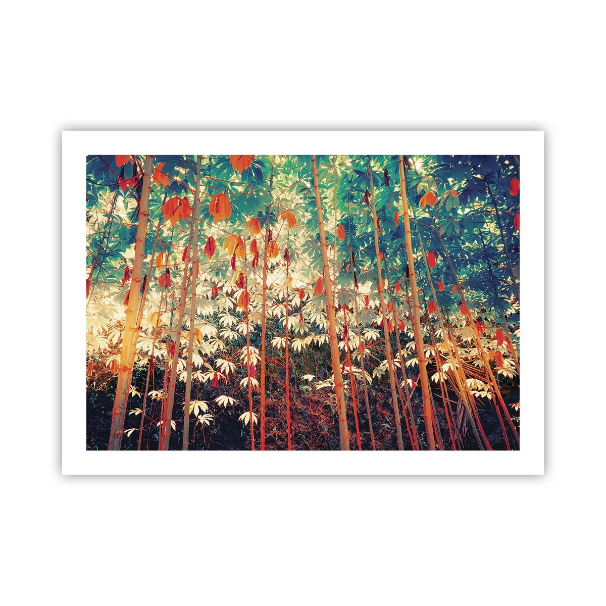 Affiche - Poster - La vie secrète des feuilles - 70x50 cm