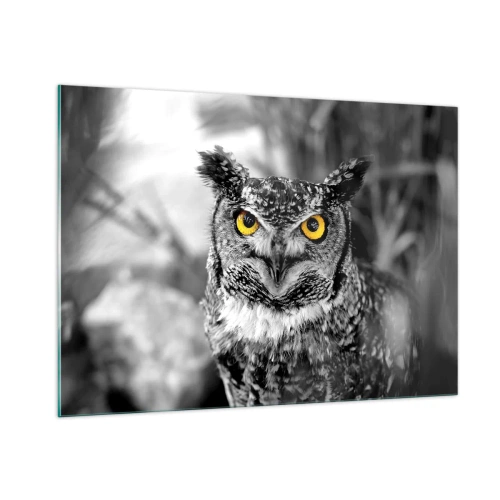 Impression sur verre - Image sur verre - Un hibou aux yeux jaunes sur fond noir et blanc - 100x70cm - Rien ne se cachera - Décoration murale moderne pour le salon et la chambre ARTTOR