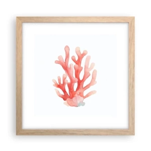 Affiche dans un chêne clair - Poster - Corail couleur corail - 30x30 cm