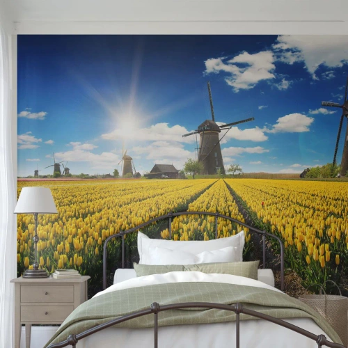 Papier Peint Photo Premium Sand - Ça ne pourrait pas être plus hollandais - Paysage, Ventilateur, Tulipes - 350x256 cm