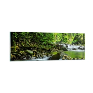 Impression sur verre - Image sur verre - Nager dans un océan de verdure - 90x30 cm
