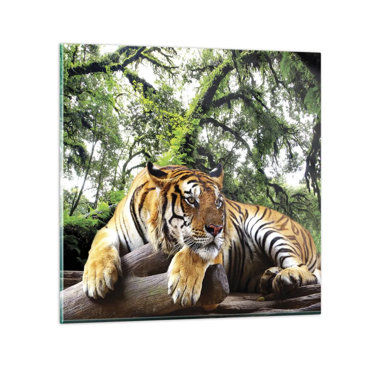 Impression sur verre - Image sur verre - Cordialement - 40x40 cm