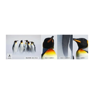 Échantillon De Papier Peint Standard Eco - Rencontre en robes de soirée - Animaux, manchot, Nature - 100x30 cm